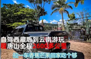 云南：男子自驾西藏返程嫌过路费贵，想拉一车芒果走绿通省1800元