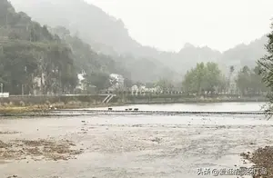 浙江古村镇楠溪江游记9 遇见鸡避雨，牛过江的东皋村