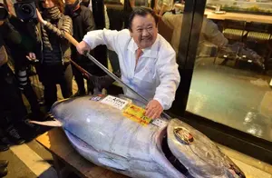 中国“最贵”的4种鱼，一口鱼肉“上百”，剩下的鱼骨“还能卖”