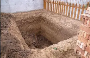 宁夏一大哥挖土豆窖，意外挖出十瓶茅台，行家：这下挖到宝了