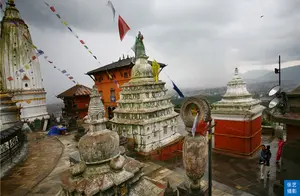 尼泊尔有一座千年古庙，聚集3000只猴子，被称为动物的天堂