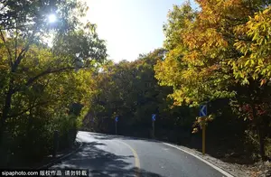 京郊十条醉美公路① | 在这3条公路看风景如画 不负好时光