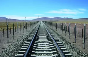 一根造价高达20万元，为何青藏铁路两边，要插上1.5万根铁棒？