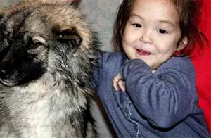 2014年，俄罗斯3岁女童和狗一起失踪，11天后狗狗独自回来报警