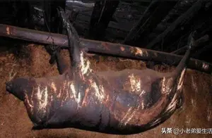 用来招待贵宾的四川臭猪肉，房梁上悬挂53年，这肉真的还能吃吗？