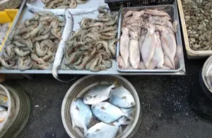 放心吃敞开买，中秋前这6种小海鲜，无养殖不掺假，最低6元一斤