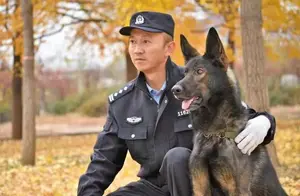人民英雄——“昆明犬”，中国的骄傲，别说你不认识