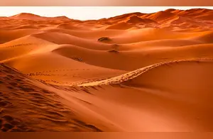 世界上面积最大的沙漠：撒哈拉沙漠有多深？沙子下面都有什么？