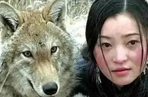 野狼格林：被四川女孩当儿子养，10年后和它在草原相认，人狼共哭