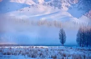 新疆这些美到极致的风景，你都认识吗？