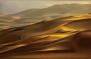 中国发明的“吞沙巨兽”，一天能吞噬沙漠40亩，已在甘肃投入使用