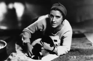1936年，一美国女子携熊猫出中国，海关问：这是什么？她说：小狗