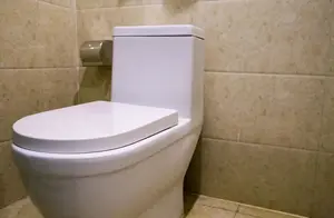 上完厕所，卫生纸能直接冲马桶吗？做个实验给你看