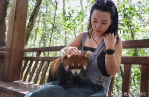 探访云南普洱太阳河森林公园：人与动物亲密接触，让游客难以拒绝