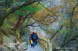 它是西安秦岭最美的峪口之一，把山水玩到极致！深秋最后的斑斓季