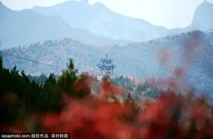 京城赏红叶 | 京城这5个地方藏着绚烂秋景