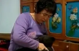 2010年，辽宁农妇义务养大被遗弃的黑熊，竟比小孩还听话不愿离开