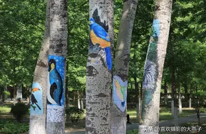 京城：兴隆公园惊现树画，一幅幅栩栩如生真是萌翻了