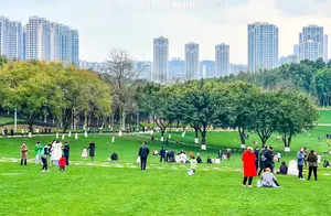 世界最大城市公园正在重庆建设，投资超50亿，面积是中央公园14倍
